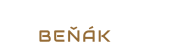 Logo Podlahy Beňák_White